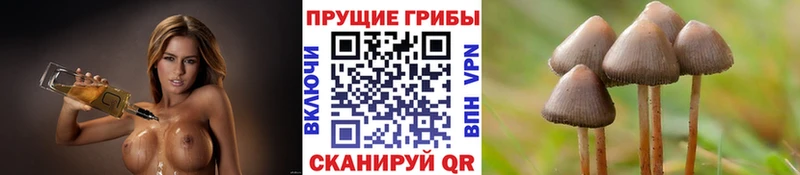Галлюциногенные грибы GOLDEN TEACHER  Беломорск 